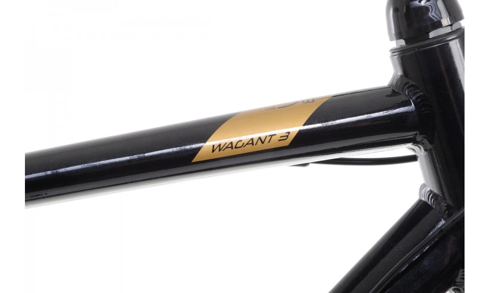 Jalgratas Romet Wagant 3 28" 2022 black-gold - 2