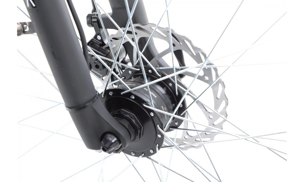 Jalgratas Romet Gazela 4 28" 2022 black-white - 8