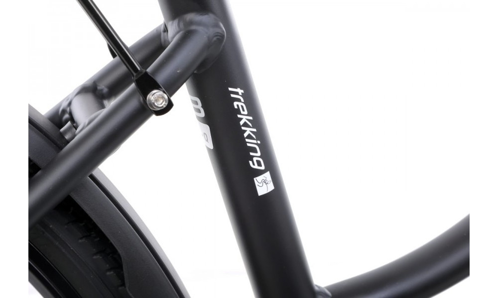 Jalgratas Romet Gazela 4 28" 2022 black-white - 13