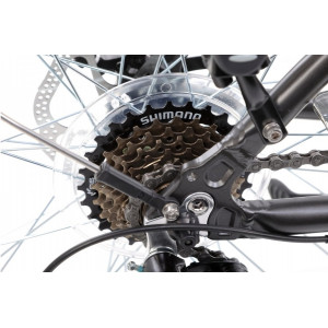 Jalgratas Romet Wagant 2 28" 2022 graphite-gold