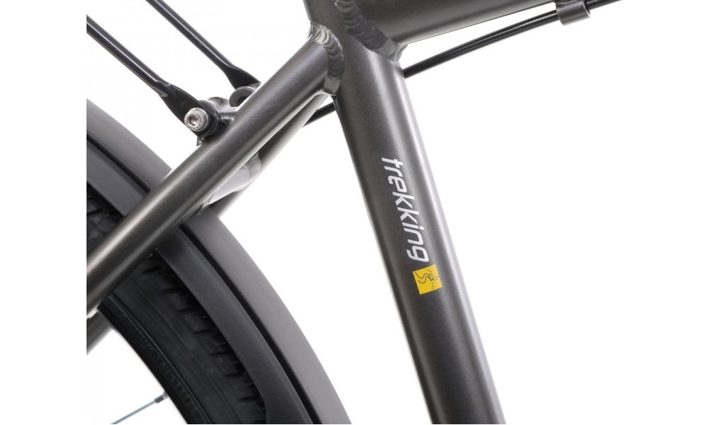 Jalgratas Romet Wagant 2 28" 2022 graphite-gold - 4