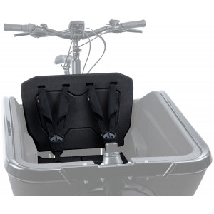 Lastetool Cube for e-bike Cargo black