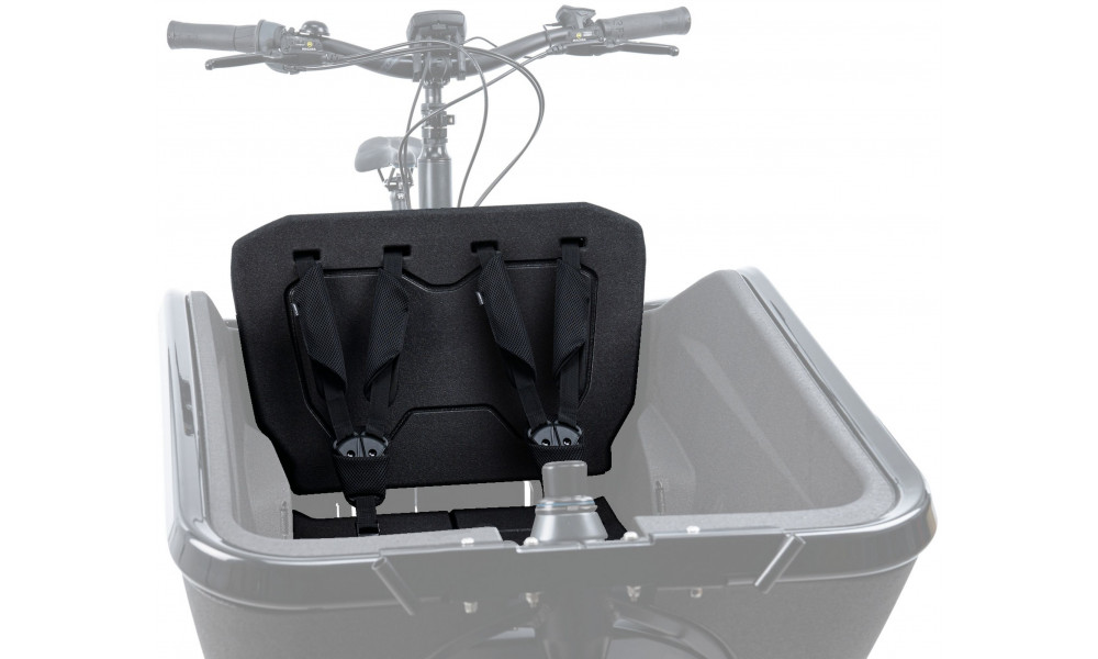 Lastetool Cube for e-bike Cargo black - 1