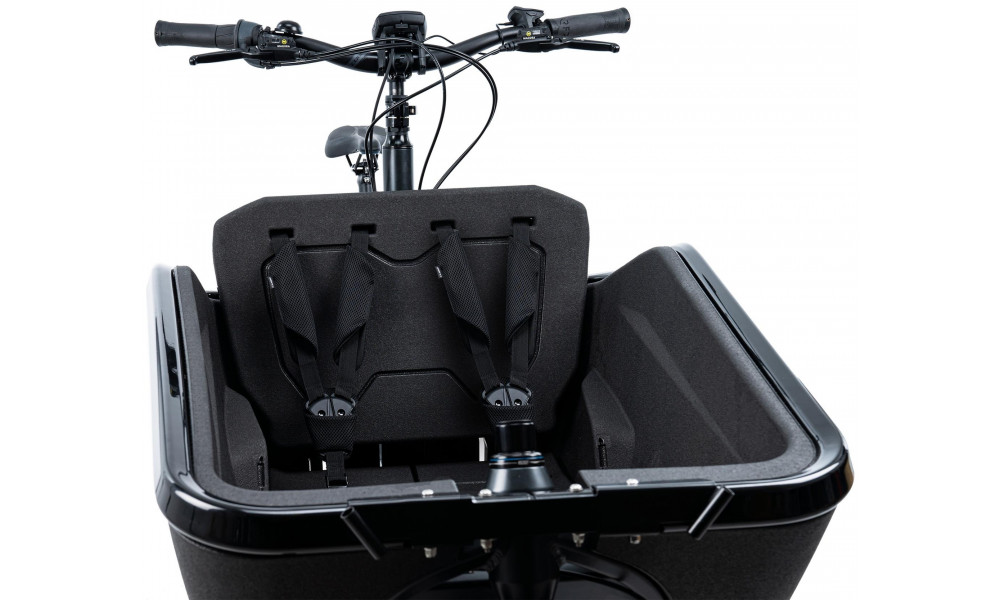 Lastetool Cube for e-bike Cargo black - 4
