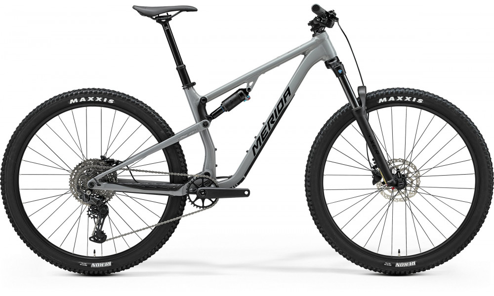 Jalgratas Merida One-Twenty 300 V1 cool grey(black/silver) 