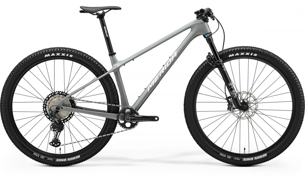 Jalgratas Merida Big.Nine XT III1 cool grey(silver/black) 