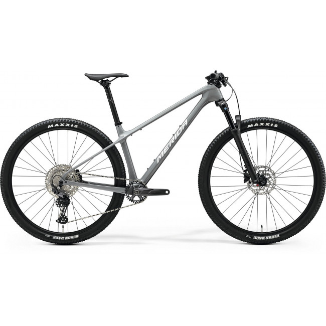 Jalgratas Merida Big.Nine 3000 III1 cool grey(silver/black)