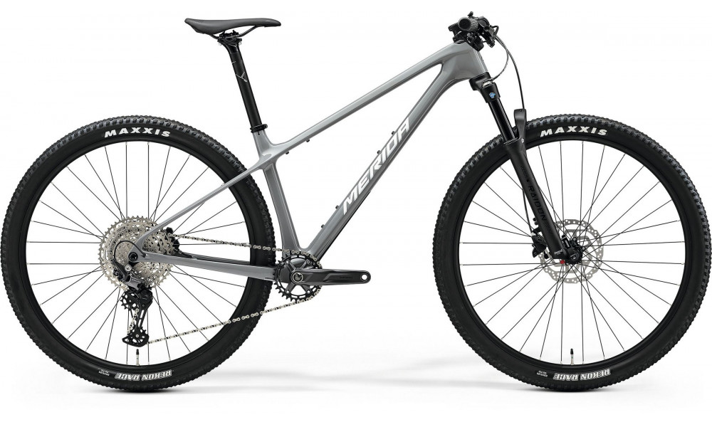 Jalgratas Merida Big.Nine 3000 III1 cool grey(silver/black) 