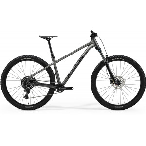 Jalgratas Merida Big.Trail 300 II1 gunmetal grey(black)