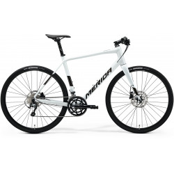 Jalgratas Merida Speeder 300 III1 pearl white(guarded gold)