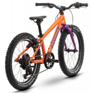 Jalgratas Raymon Yanga 20 2025 orange-purple