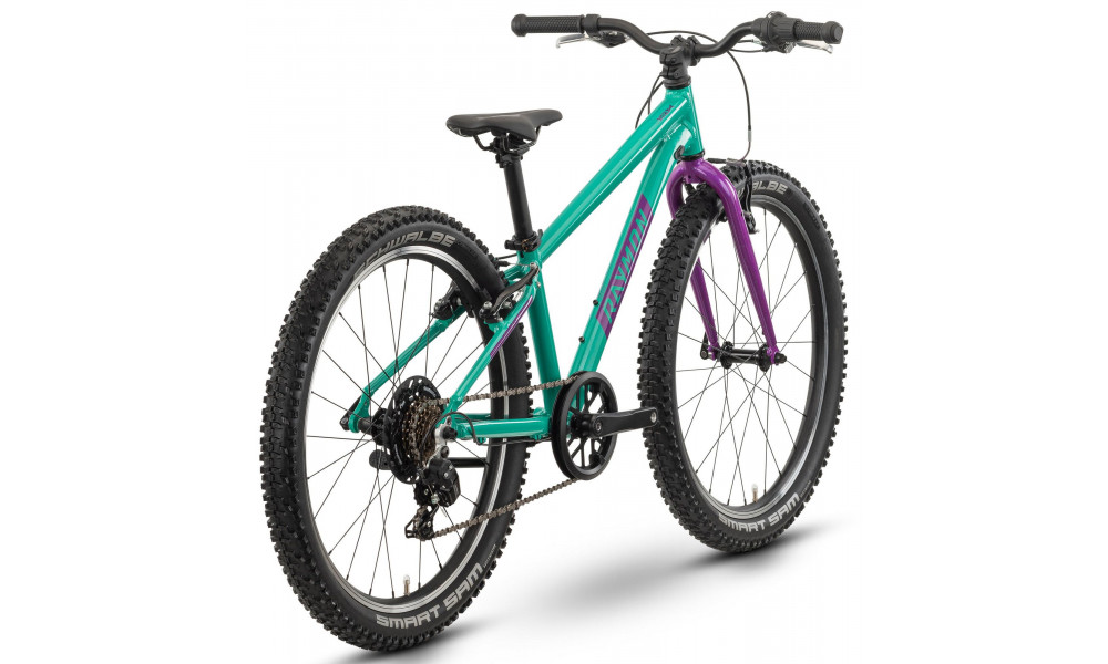 Jalgratas Raymon Yanga 24 2025 green-purple - 2