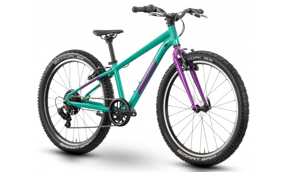 Jalgratas Raymon Yanga 24 2025 green-purple - 3