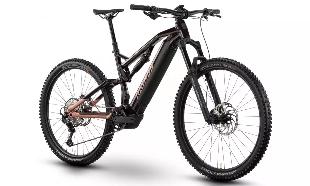 Elektrijalgratas Raymon Trailray 150 Pro 29" 2025 nebular red- pinky-black - 2