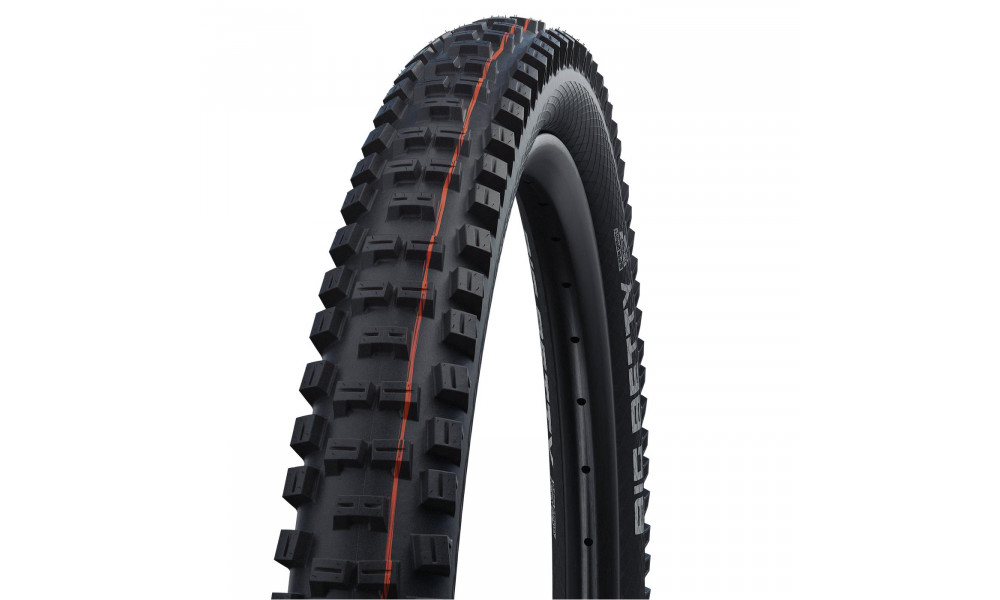 Väliskumm 29" Schwalbe Big Betty HS 608 Evo Fold TLE 62-622 / 29x2.40 Gravity Addix Soft - 1