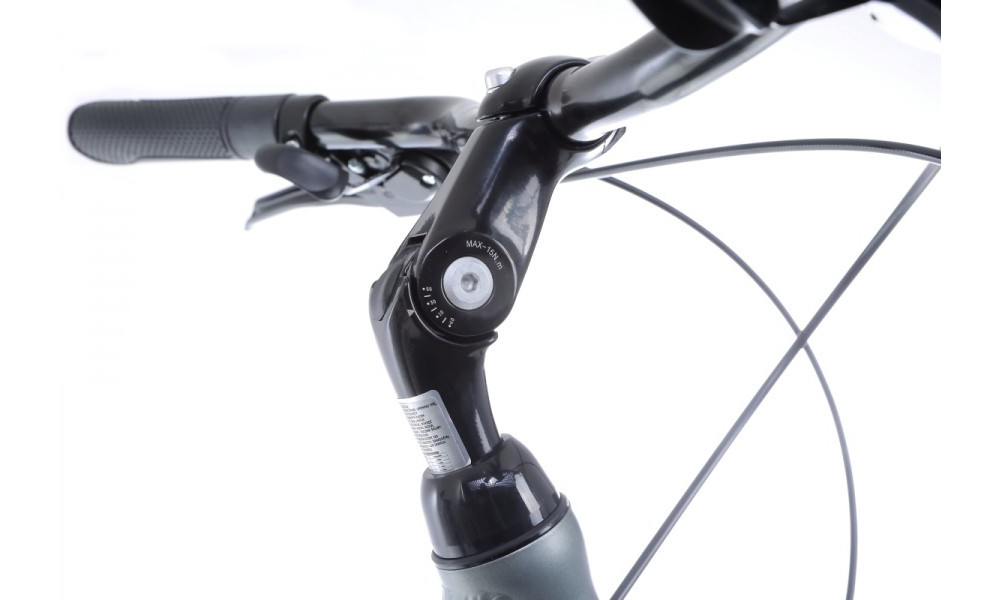 Jalgratas Romet Gazela 1 28" 2022 light graphite-green - 5