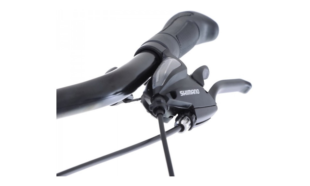 Jalgratas Romet Gazela 1 28" 2022 light graphite-green - 6