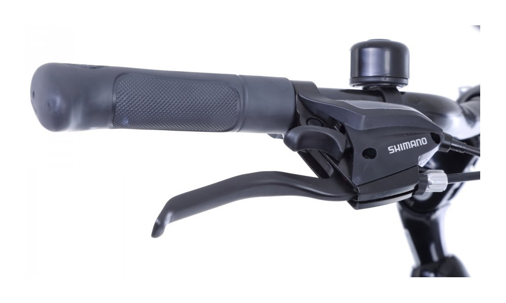 Jalgratas Romet Gazela 1 28" 2022 light graphite-green - 7