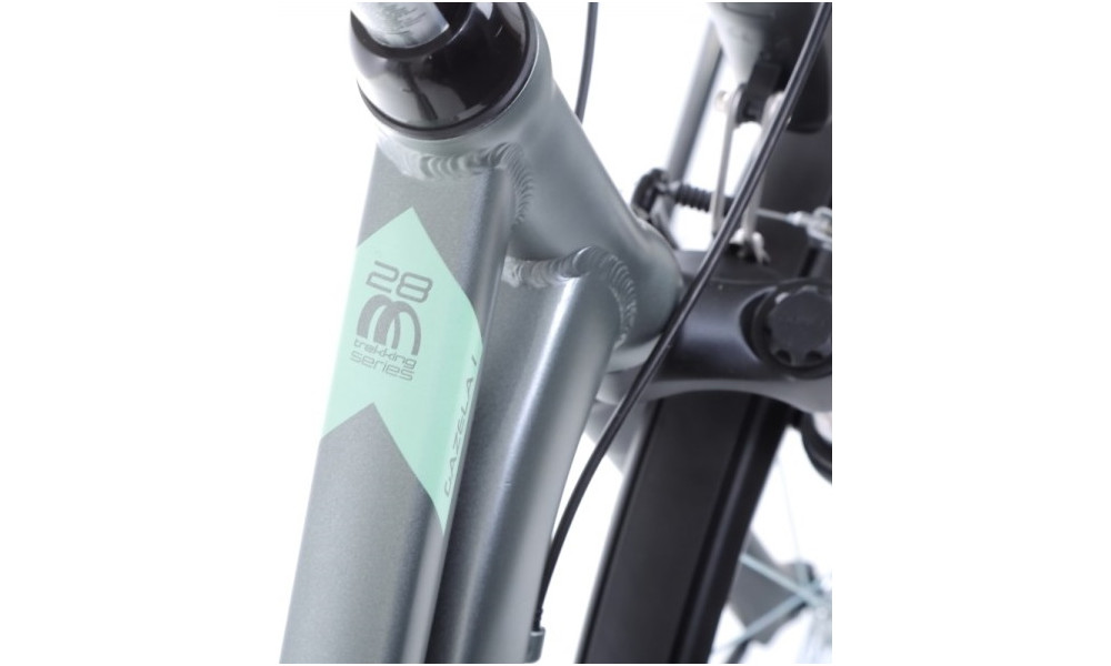 Jalgratas Romet Gazela 1 28" 2022 light graphite-green - 11