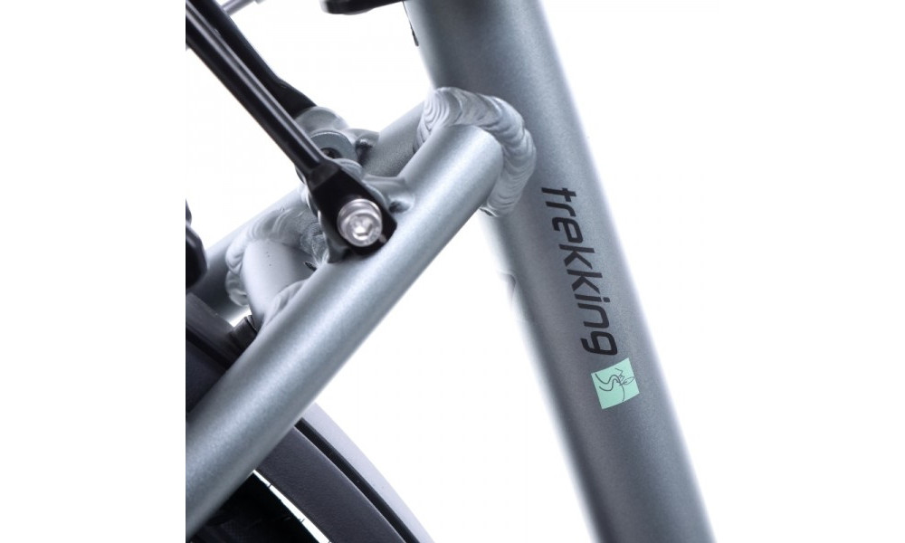 Jalgratas Romet Gazela 1 28" 2022 light graphite-green - 12