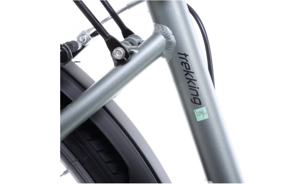 Jalgratas Romet Gazela 1 28" 2022 light graphite-green - 15