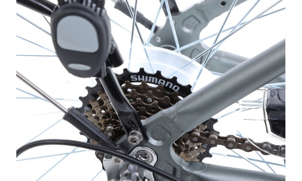 Jalgratas Romet Gazela 1 28" 2022 light graphite-green - 16