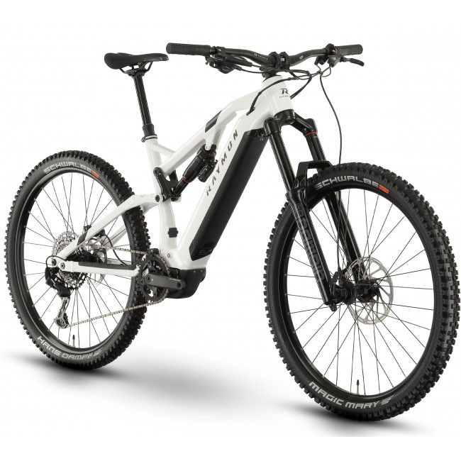 Elektrijalgratas Raymon TrailRay 160E 10.0 SE 29" white