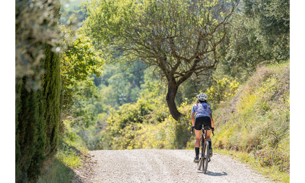 Rattapüksid koos traksidega Northwave Active WMN black - 3