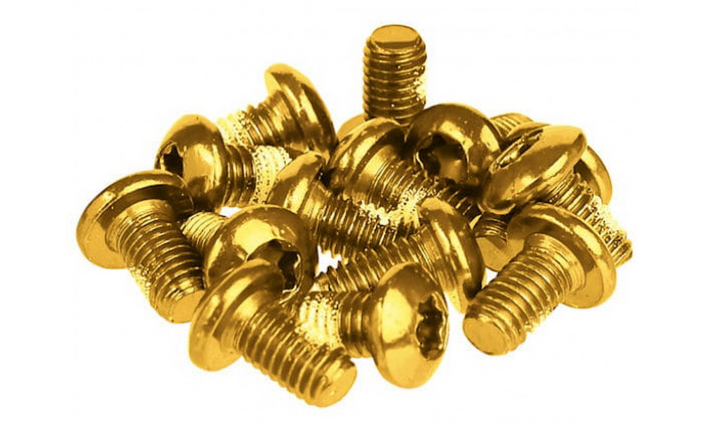 Piduriketta poldid Prox gold M5x10mm (12pcs.) - 1