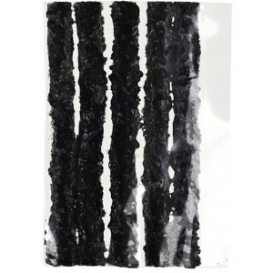 Sisekummita rehvide parandus rasvanöörid ProX TRT 3.5mm x 50mm black