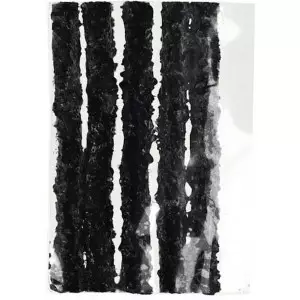 Sisekummita rehvide parandus rasvanöörid ProX TRT 3.5mm x 50mm black