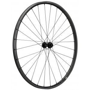 Esijooks NEWMEN Advanced Carbon SL X.R.25 29" 28H Gravel SP C-Lock 12x100