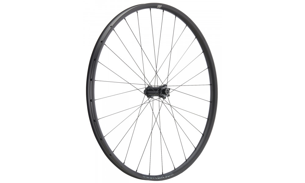 Esijooks NEWMEN Beskar Alu 30 base 29" 28H SP 6-bolt 15x110 