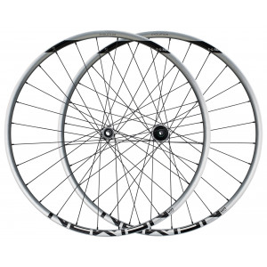 Esijooks NEWMEN Evolution Alu SL E.G.30 29" 15x110 SP C-Lock 28H