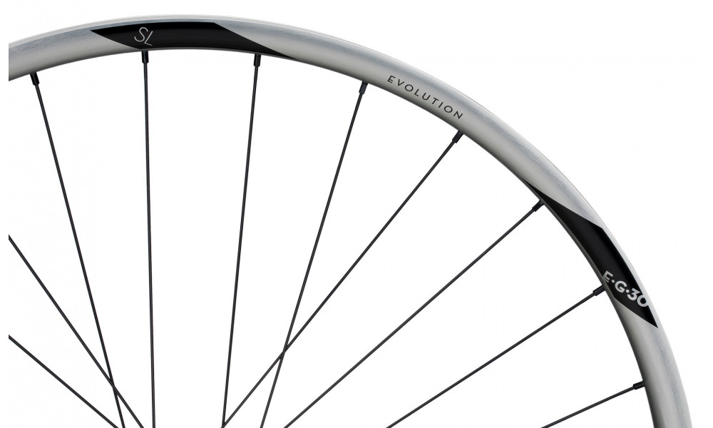 Esijooks NEWMEN Evolution Alu SL E.G.30 29" 15x110 SP C-Lock 28H - 4