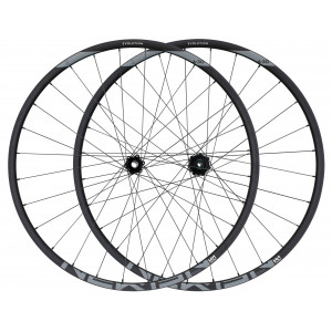 Esijooks NEWMEN Evolution Alu SL A.30 29" 15x110 SP 6-bolt 28H
