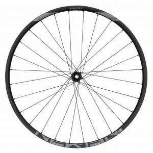 Esijooks NEWMEN Evolution Alu SL E.30 29" 15x110 SP 6-bolt 28H