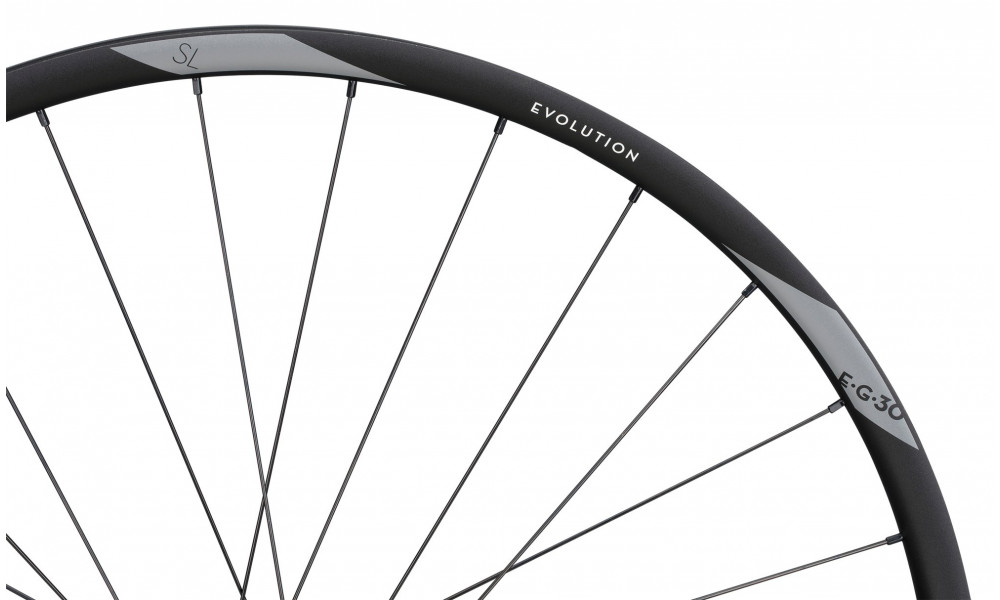 Esijooks NEWMEN Evolution Alu SL E.30 29" 15x110 SP 6-bolt 28H - 4