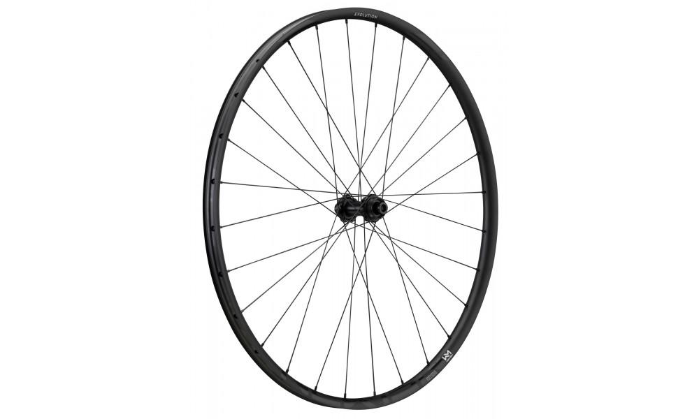 Esijooks NEWMEN Evolution Alu SL X.R.25 29" 28H Gravel SP C-Lock 12x100 