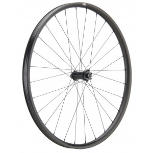 Esijooks NEWMEN Phase Carbon 30 light 29" 28H SP 6-bolt 15x110