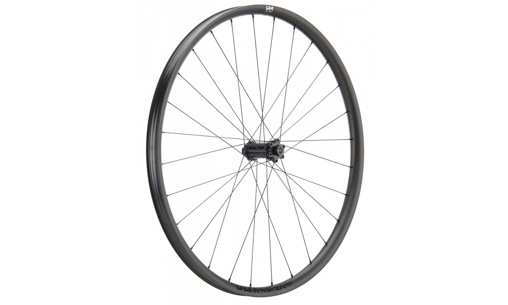 Esijooks NEWMEN Phase Carbon 30 light 29" 28H SP 6-bolt 15x110 