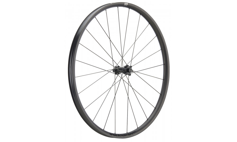 Esijooks NEWMEN Phase Carbon 30 light VONOA 29" 24H CS SP 6-bolt 15x110 