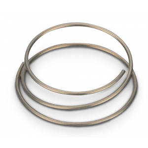 Tagumine rummu hooldusosa NEWMEN freewheel spring 20x26.2x2.5