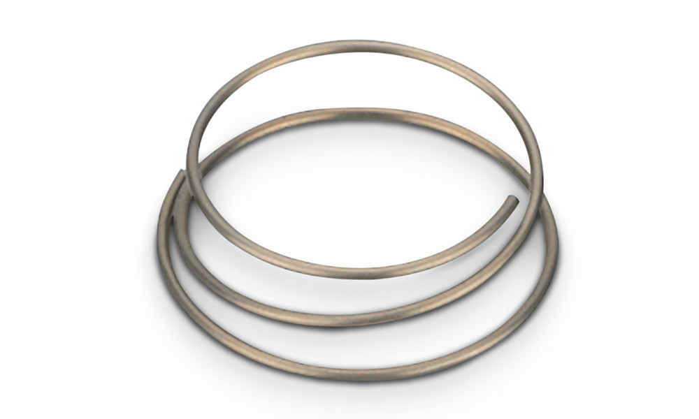 Tagumine rummu hooldusosa NEWMEN freewheel spring 20x26.2x2.5 