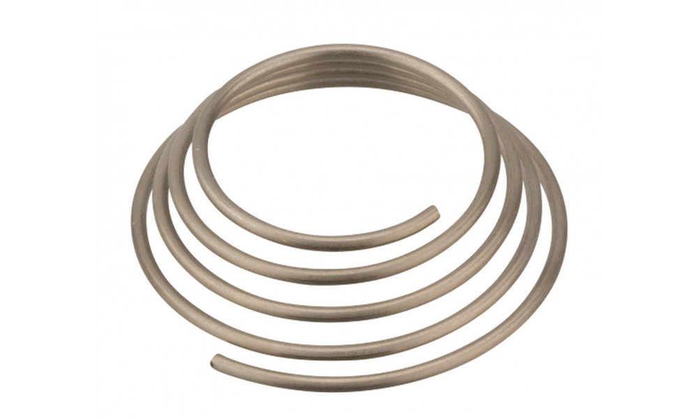 Tagumine rummu hooldusosa NEWMEN freewheel spring 20x35.2x2.5 