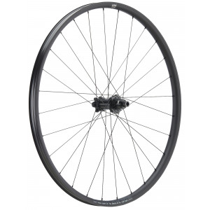 Tagajooks NEWMEN Beskar Alu 30 base 29" 28H SP 6-bolt 12x148 XD