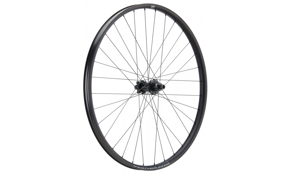 Tagajooks NEWMEN Beskar Alu 30 DH 29" 32H SP 6-bolt 12x157 HG 