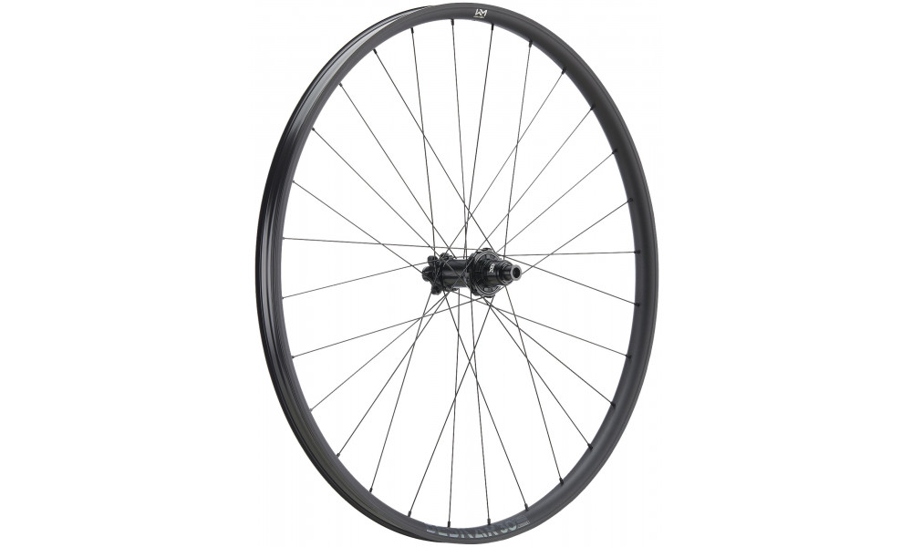 Tagajooks NEWMEN Beskar Alu 30 light 29" 28H SP 6-bolt 12x148 HG 