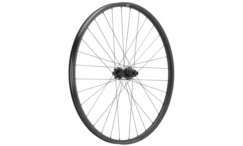Tagajooks NEWMEN Beskar Alu 30 strong 29" 32H SP 6-bolt 12x148 HG 