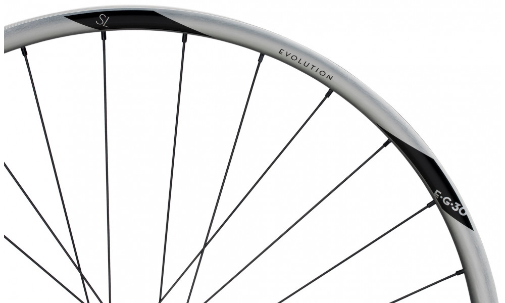 Tagajooks NEWMEN Evolution Alu SL E.G.30 29" 12x148 SP C-Lock 28H MicroSpline - 4